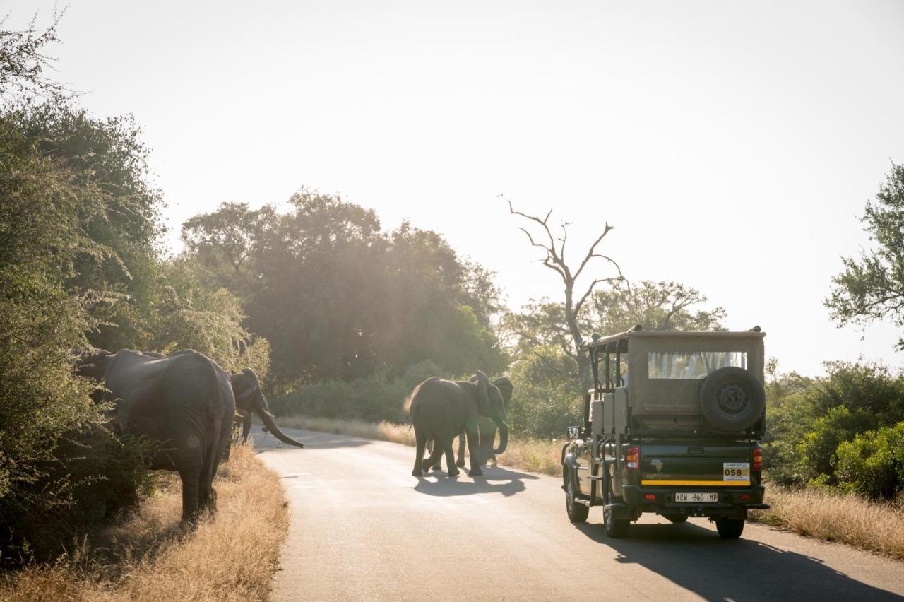 Nkuhlu Tented Camp 史库库莎 外观 照片