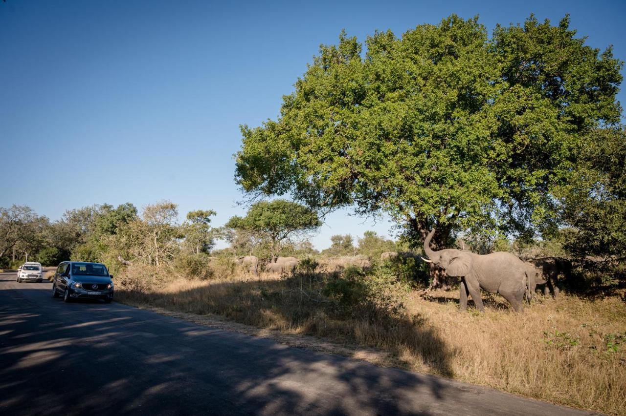 Nkuhlu Tented Camp 史库库莎 外观 照片