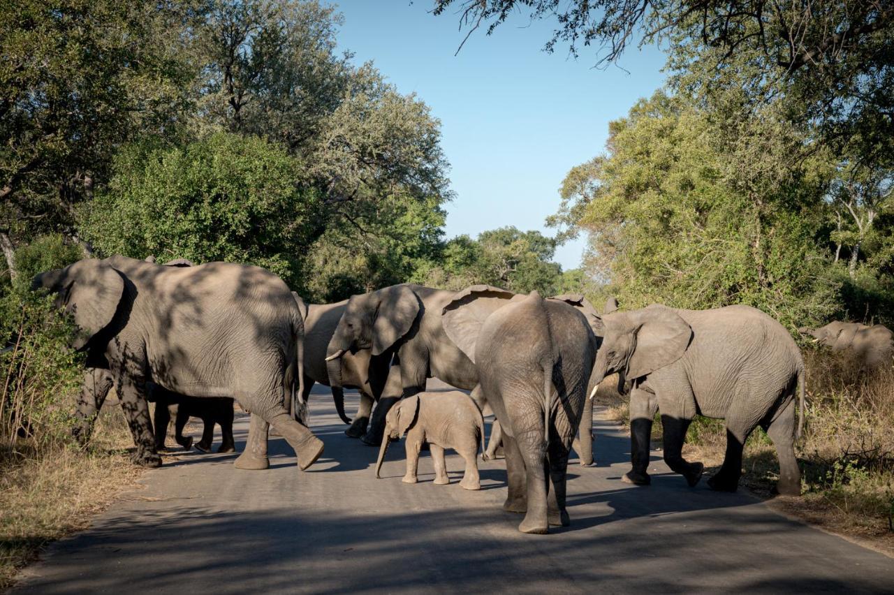 Nkuhlu Tented Camp 史库库莎 外观 照片