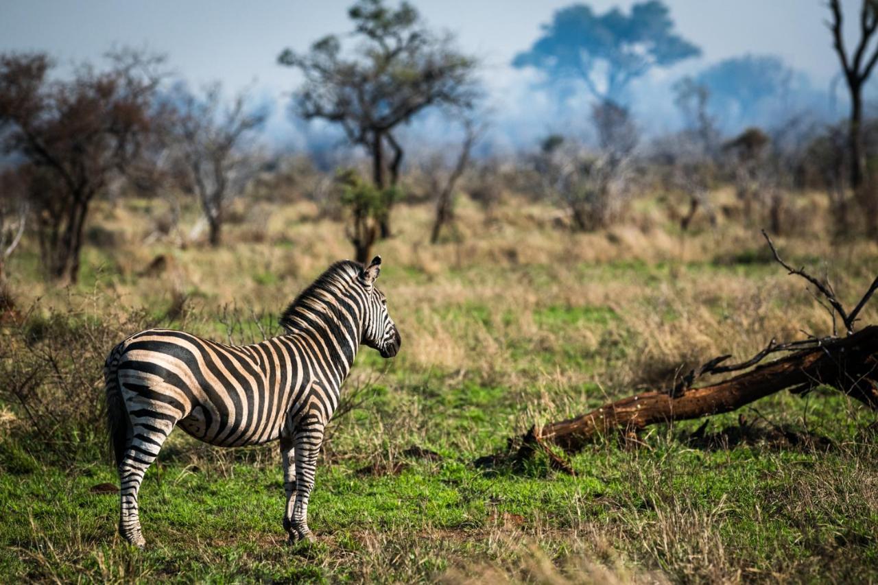 Nkuhlu Tented Camp 史库库莎 外观 照片