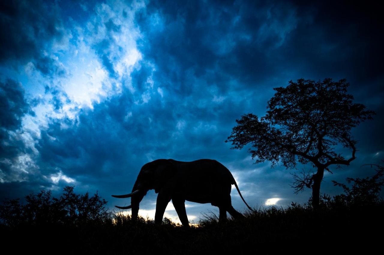 Nkuhlu Tented Camp 史库库莎 外观 照片