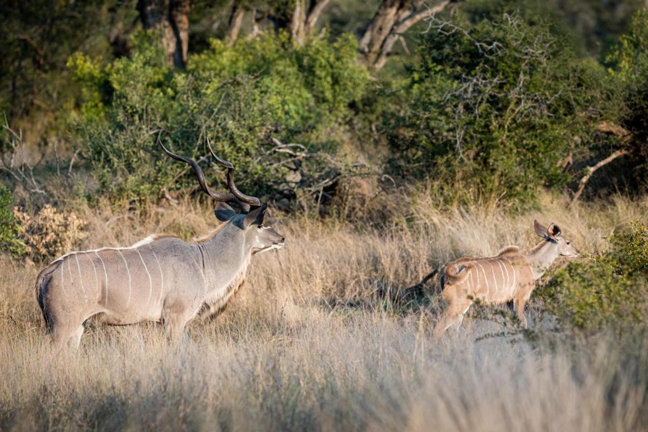 Nkuhlu Tented Camp 史库库莎 外观 照片