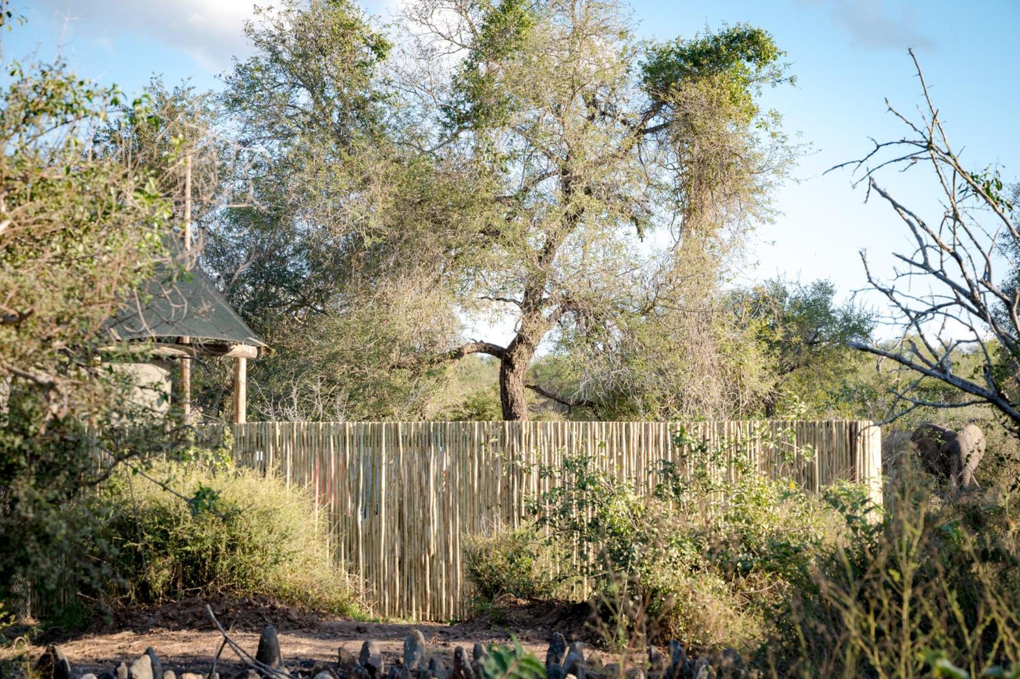 Nkuhlu Tented Camp 史库库莎 外观 照片